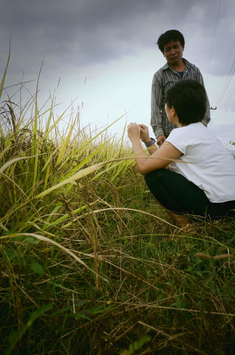 organic black rice and biodiversity