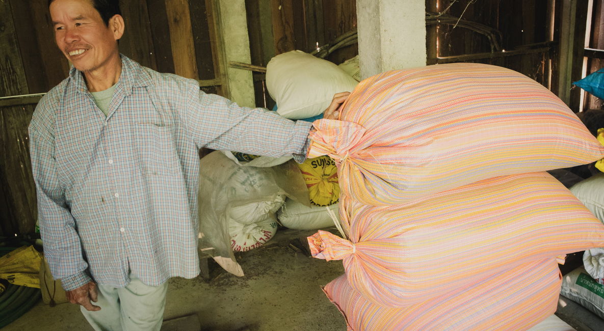 seed saving organic rice in Northern Thailand